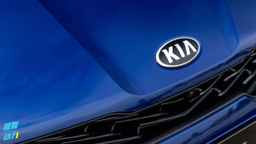 年度汽車可靠性排名生變，銷量王者緣何淪為質量洼地？